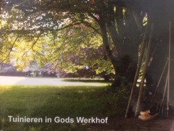 Afbeelding invoegen